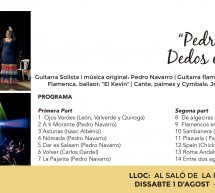 Concert 2 Pedro Navarro ‘Dedos con Duende’